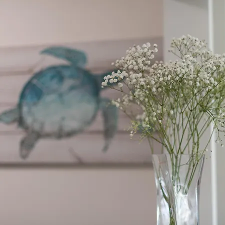 Vento Azul En Moderno Residencial *